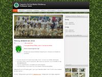 Capoeira Sul da Bahia Göteborg - Professor Vado