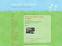 Capoeira i Stockholm Capoeira i Stockholm