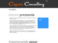 Capsor Consulting AB - Utveckling inom IT Capsor Consulting AB - Utveckling inom IT