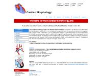 CardiacMorphology.org | Hands-on Cardiac Morphology Courses CardiacMorphology.org | Hands-on Cardiac Morphology Courses