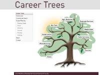 Roots, Watering, Harvest, Pruning  Roots, Watering, Harvest, Pruning