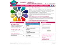 careervisionglobal.com Overview, Consultancy, Leadership & Management