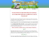 careforsugargliders.com