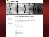  Om Caretite, Kompetens, Företagsuppgifter, Tjänster