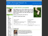 caretoadopt.org rescue dog cat bird rabbit adopt foster hamster rat guinea pig