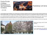 statistik för carinafl - index