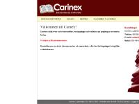 liten carinex.se skärmbild liten carinex.se skärmbild