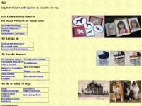 liten carinw.se skärmbild liten carinw.se skärmbild