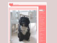 carizmas.blogg.se carizmas, Hundar, Trackbacks () carizmas.blogg.se carizmas, Hundar, Trackbacks ()