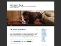 Carl-Gustav Öberg om sökmarknadsföring