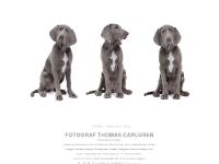 Fotograf i Stockholm Thomas Carlgren Photographer in Sweden Fotograf i Stockholm Thomas Carlgren Photographer in Sweden