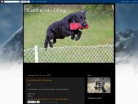 Carmals kursblogg Carmals kursblogg