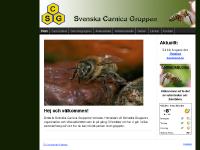 carnica.se carnica.se