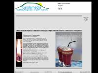 Carolamedia - Tryckfärdig företagsreklam och Multimedia Carolamedia - Tryckfärdig företagsreklam och Multimedia