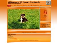 liten carolands.se skärmbild