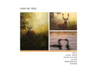 statistik för carolineberg - carolineberg.se - Hosted by One.com Webhosting statistik för carolineberg - carolineberg.se - Hosted by One.com Webhosting