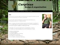 Carpinus design Carpinus design