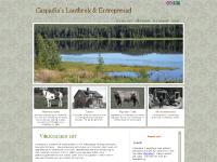 liten caspadia.se skärmbild liten caspadia.se skärmbild