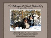 Kennel Caspario Kennel Caspario