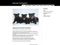 castapinki.com Info, Hundene, Resultater castapinki.com Info, Hundene, Resultater