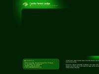 Castle Forest Lodge - Welcome! Castle Forest Lodge - Welcome!