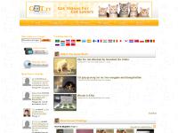 Cat Video: Cat Videos for Cat Lovers