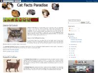 catfactsparadise.blogspot.com American Curl Cat Breed, 9:16 PM, Cat Breeds