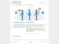 Catino Innovation Catino Innovation