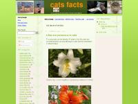 cats facts cats facts