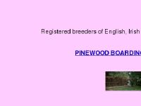 english, irish setters puppies breeder. Boarding Cattery Norfolk, Suffolk english, irish setters puppies breeder. Boarding Cattery Norfolk, Suffolk