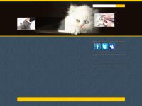 Cats For You - Cats Health Service