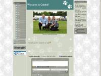 Frontpage - www.catstaff.org Frontpage - www.catstaff.org