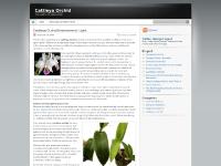  care of orchids, caring for orchids, cattelya orchids, cattleya orchid