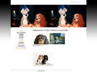 cavaliererna.se cavaliererna.se