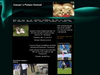 liten ceasarspalace.se skärmbild