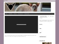 statistik för ceciliaw - Cecilia & Livet | Livet, universum & allting statistik för ceciliaw - Cecilia & Livet | Livet, universum & allting