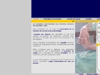 Chambre Européenne des Experts Conseil en Oeuvres d'Arts - CECOA.COM