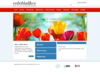 Cederblads Revisionsbyrå Cederblads Revisionsbyrå