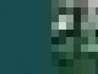 Celestine Vision: James Redfield and The Celestine Prophecy Movie Celestine Vision: James Redfield and The Celestine Prophecy Movie