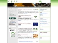 POLICY AREAS, PROJECTS, OTHER ACTIVITIES, European Forestry House  POLICY AREAS, PROJECTS, OTHER ACTIVITIES, European Forestry House