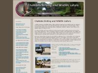 chalkokosafaris.com road safari, kenya safari, kenya chalkokosafaris.com road safari, kenya safari, kenya