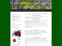 chambre-hote-chantilly.com