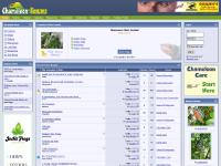 Chameleon Forums