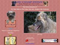 Bergers des Pyrénées Du Champ d'Onix Bergers des Pyrénées Du Champ d'Onix