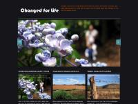 Dandenong Gospel Hall Dandenong Gospel Hall