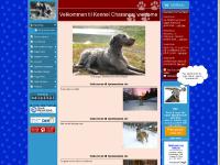 charanga-tojoh.com Hjem/Home, Irsk ulvehund, Våre hunder/Our dogs charanga-tojoh.com Hjem/Home, Irsk ulvehund, Våre hunder/Our dogs