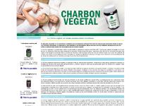 charbonvegetal.com - charbonvegetal