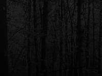 charlois.com - charlois charlois.com - charlois