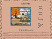 charteroakafghanhounds.com Afghan Hound, Afghan Hounds, Arfgan hound charteroakafghanhounds.com Afghan Hound, Afghan Hounds, Arfgan hound