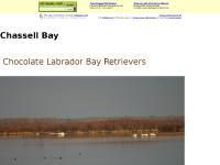 chassellbay.com The Art of Raising a Puppy